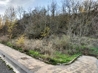 PARAJE DE ERMITAPEA 8