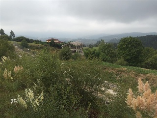 PRADO Y ERIAL BARRIO LA HAYUELA 5