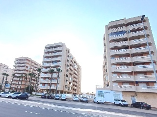 ISLA GROSSA. TERCERA FASE 2