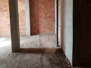 ISLA GROSSA. TERCERA FASE 11