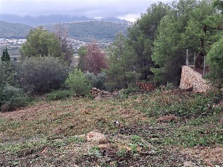 Otros en venta en Pedreguer