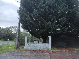 Pisos banco San Cristovo de Cea