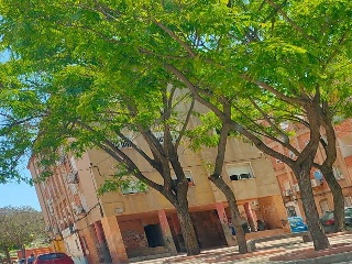 Piso en Pz. Maestro Jose Palmis, Cartagena (Murcia) 2
