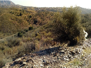 Suelo urbanizable delimitado en Pr. Lomas del Flamenco, Mijas (Málaga) 10