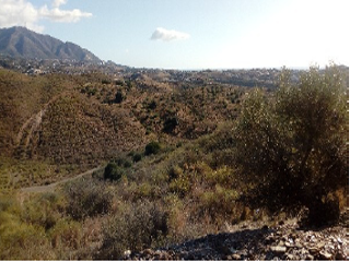 Suelo urbanizable delimitado en Pr. Lomas del Flamenco, Mijas (Málaga) 13