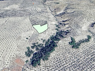 Pisos banco Pegalajar