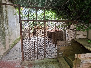 Chalet en C/ Carril Alto, Tacoronte (Santa Cruz de Tenerife) 18