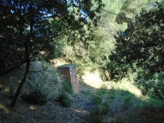 Solar en C/ Esparver 9