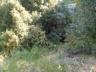 Solar en C/ Esparver 10