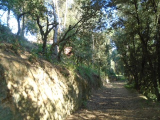 Solar en C/ Esparver 13