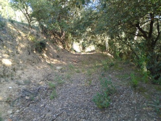 Solar en C/ Esparver 14