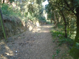 Solar en C/ Esparver 15