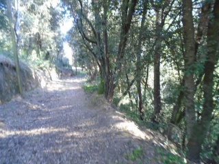 Solar en C/ Esparver 16