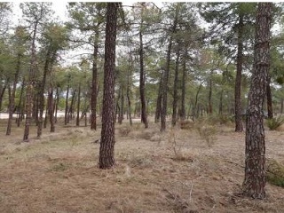 Inmueble en venta en Arevalo