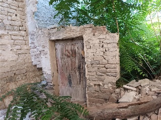 Alta 12