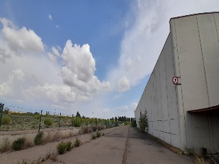 Alta 14