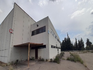 Alta 15