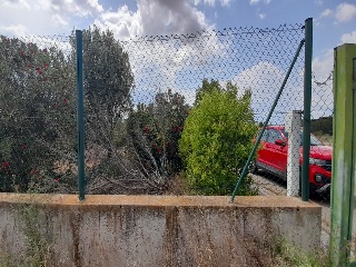 Alta 16