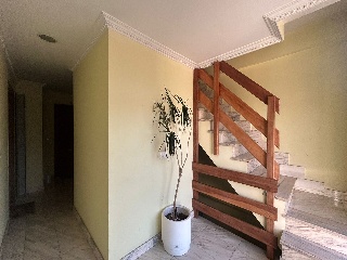 Beranga-Meson 8
