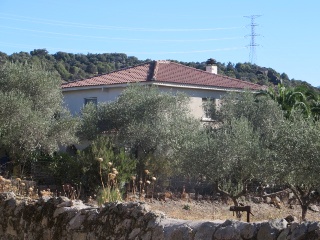 Molinillo 4
