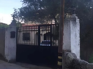 Molinillo 6