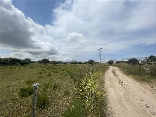 Polígono 95 Parcela 67 13