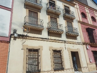 Canonigo 6