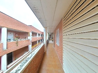 Rodano 46