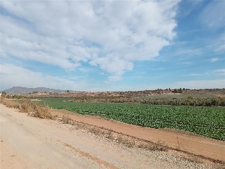 PP GRANADOS 8