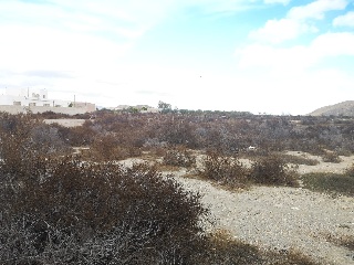 Suelo urbano en Av. San Sebastián, Tabernas (Almería) 9