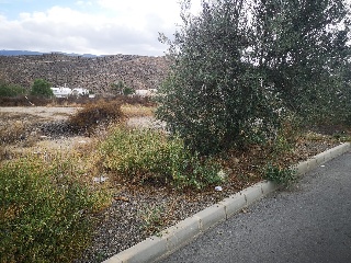 Suelo urbano en Av. San Sebastián, Tabernas (Almería) 12