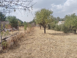 Chalet independiente en ur.  Alarilla 24