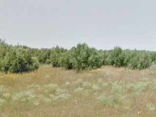 Suelo rústico en Corella (Navarra) 5