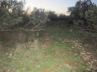 Suelo rústico en Ptda Puig, Pol 3 - Benicarló - Castellón 6