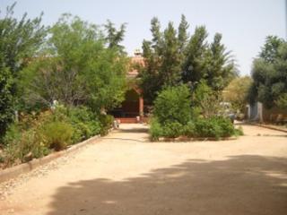 Pisos banco Mairena del Alcor