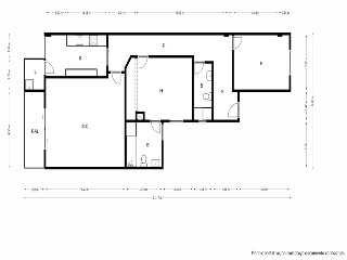 Doctora Damiana Zaragoza 39