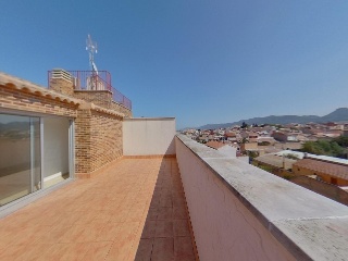 Camelias - Sangonera Verde - Murcia 25