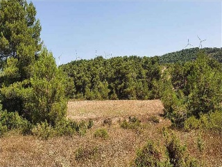 Otros en venta en Almansa de 28022  m²