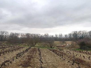 Suelo rústico en C/ Paraje Las Raicillas- Las Peñuelas, Cihuri (La Rioja) 8