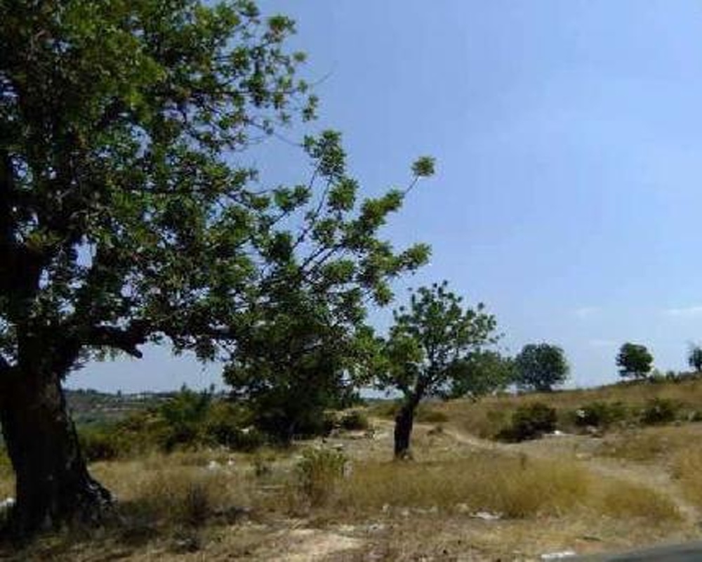 Suelo rústico en Ptda Ejido y Camino de Chiva, Pol 3 - Turís - Valencia
