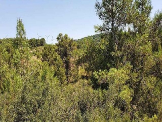Otros en venta en Almansa de 35255  m²