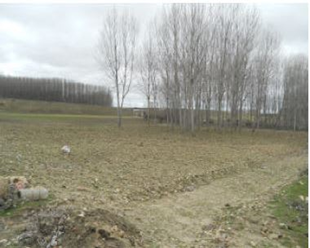 Suelo rústico en Valverde del Majano (Segovia)