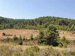 Suelo  rústico en Dehesa de Mojón Blanco 2
