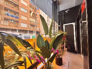 Piso en Torrevieja 7