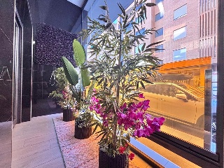 Piso en Torrevieja 8