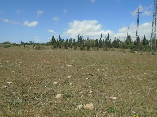 Suelo urbanizable en L`Aldea - Tarragona - 17
