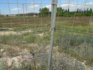 Suelo urbanizable en L`Aldea - Tarragona - 23