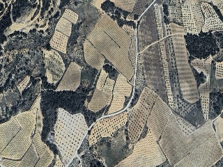 Suelo rústico en  Paraje Fuentecillas, Requena (Valencia) 4
