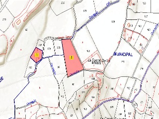 Finca rústica con edificación en Montroy - Valencia - 12