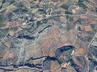 Finca rústica con edificación en Montroy - Valencia - 13